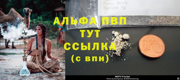 молекула духа Алзамай