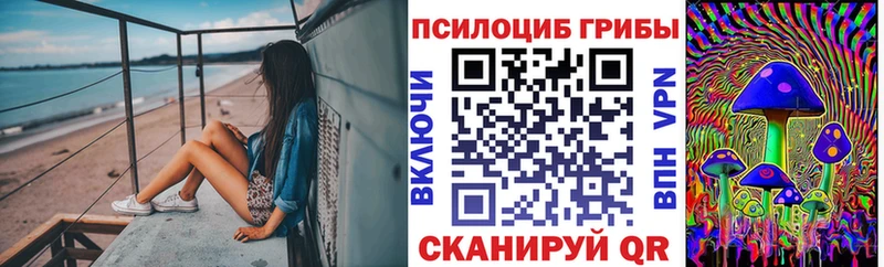 Галлюциногенные грибы мухоморы  дарк нет какой сайт  Спасск  ОМГ ОМГ зеркало 